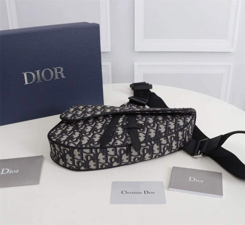 DailyWear Christian Dior Saddle Bags 74200