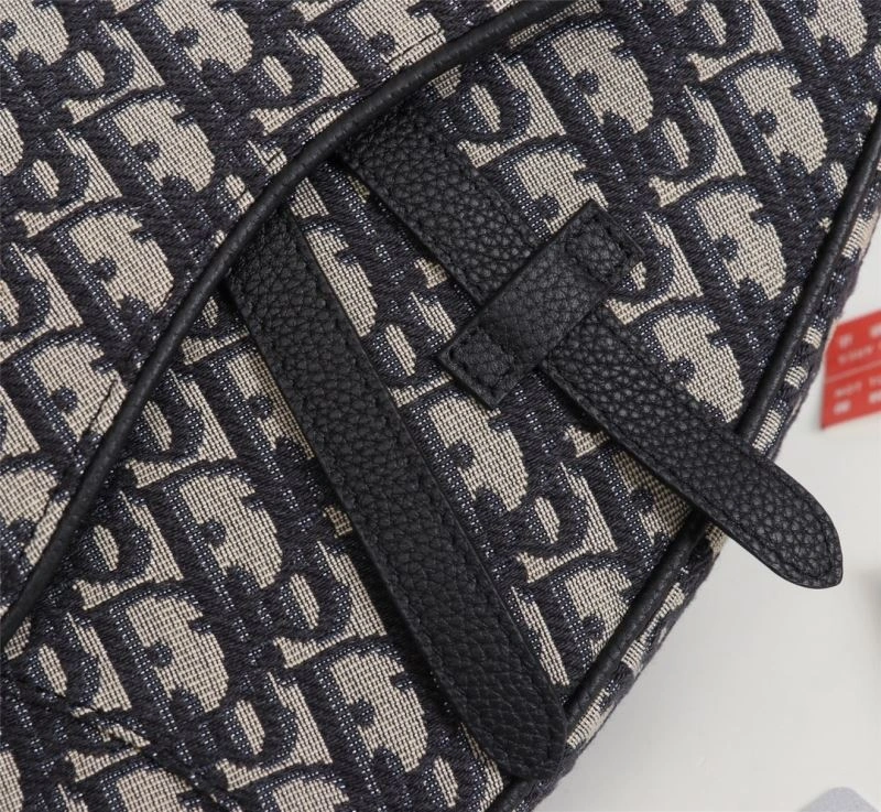 DailyWear Christian Dior Saddle Bags 74200