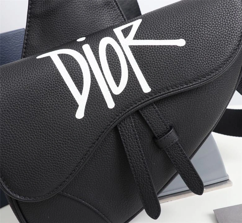 Christian Dior Saddle Bags Classic 74244