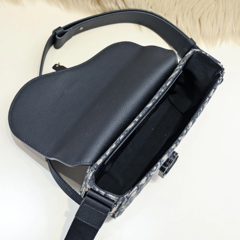 EyeCatching Christian Dior Saddle Bags 71371