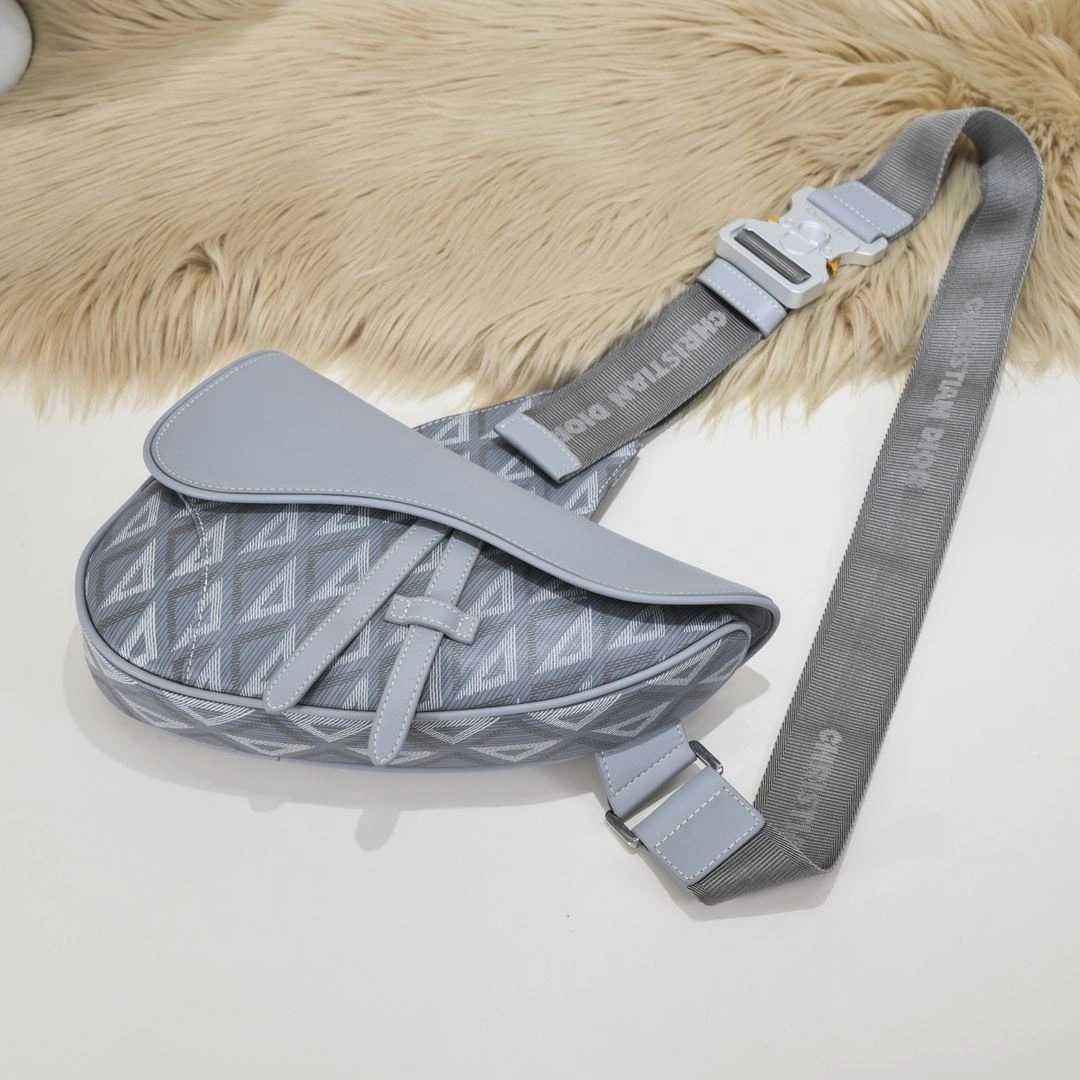WaterResistant Christian Dior Saddle bags 91190