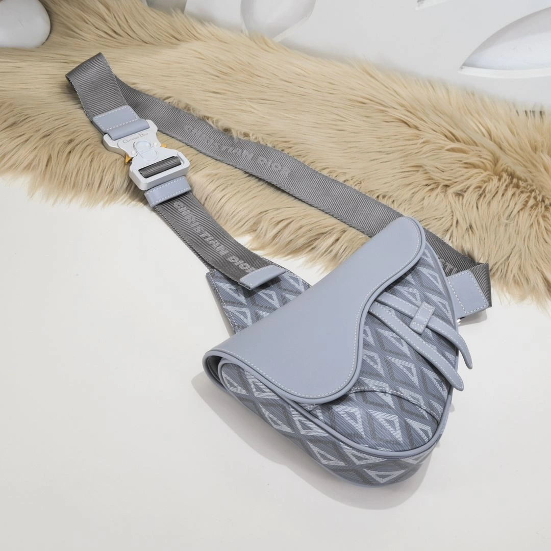 WaterResistant Christian Dior Saddle bags 91190