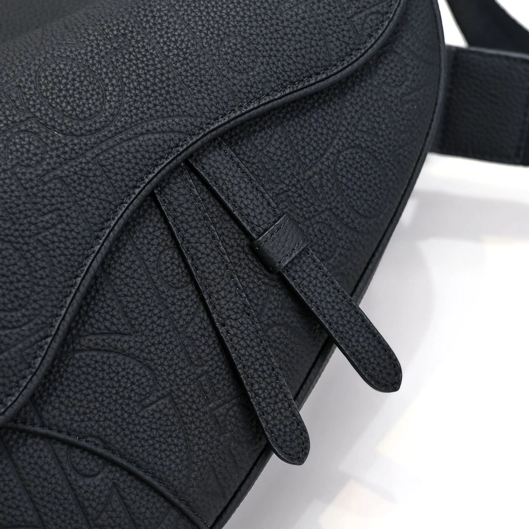 Christian Dior Saddle bags ZipUp 91184