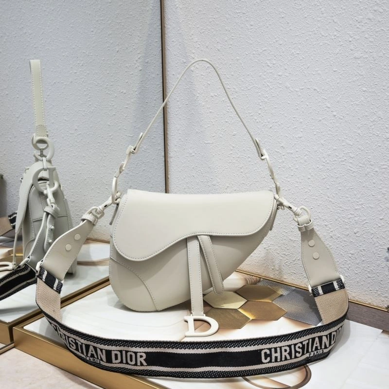 Christian Dior Saddle bags AllSeason 87842