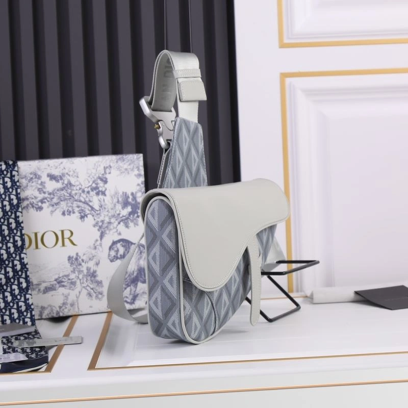 Christian Dior Saddle bags EasyCare 87855
