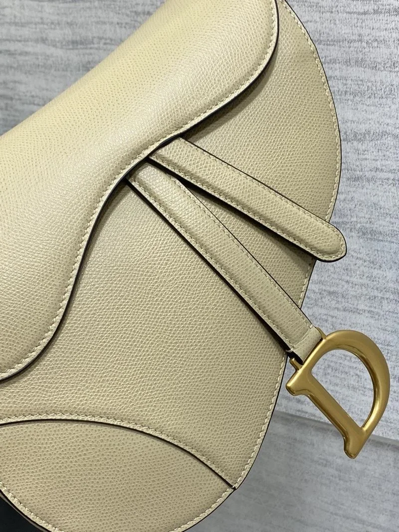 Christian Dior Saddle bags Bold 47284