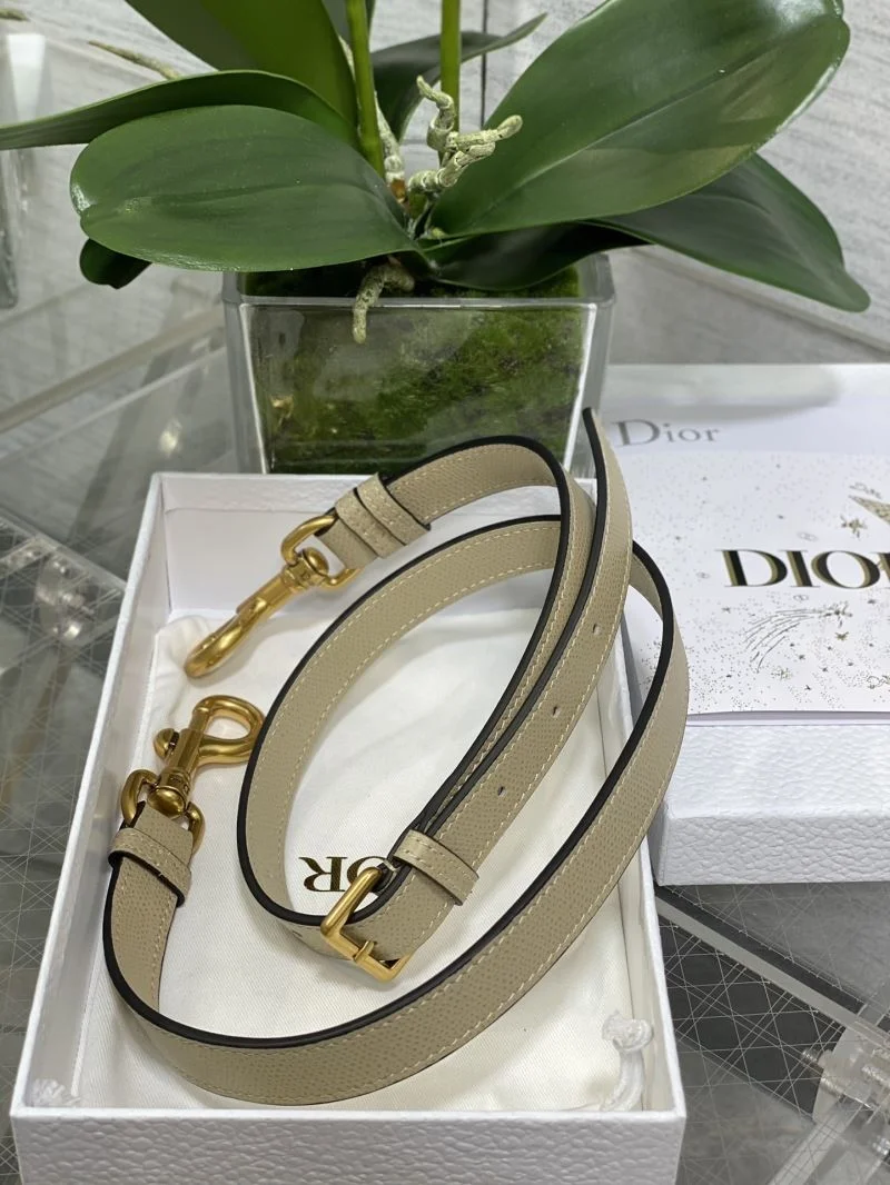 Christian Dior Saddle bags Bold 47284