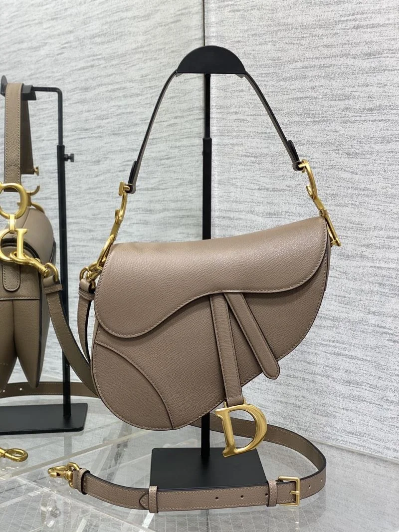 Christian Dior Saddle bags Resilient 47329