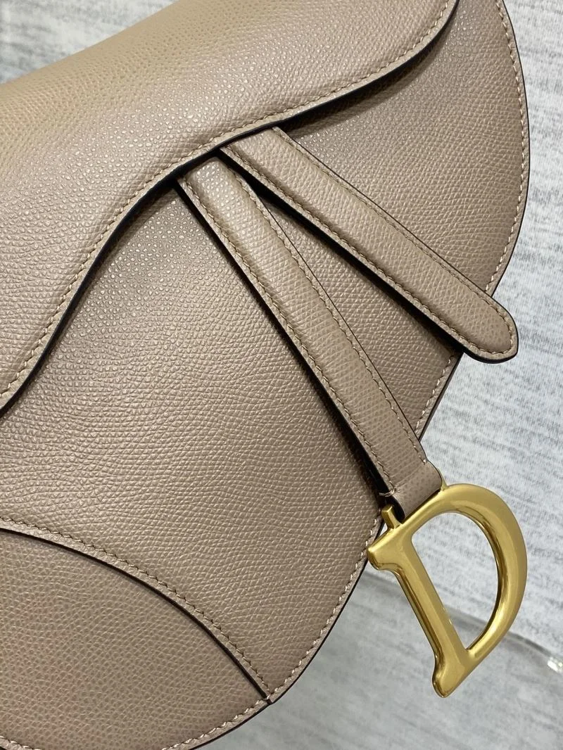 Christian Dior Saddle bags Resilient 47329