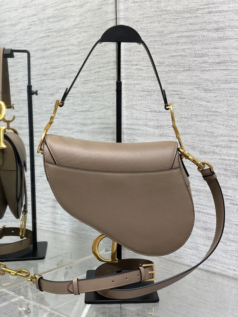 Christian Dior Saddle bags Resilient 47329