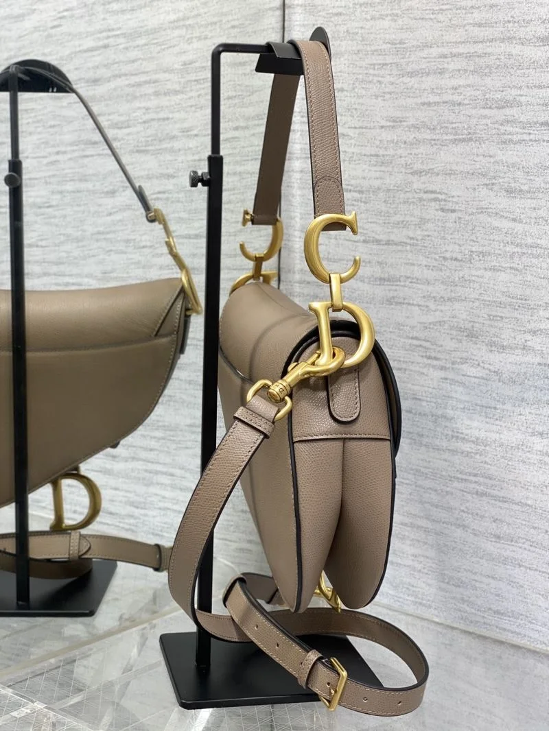 Christian Dior Saddle bags Resilient 47329