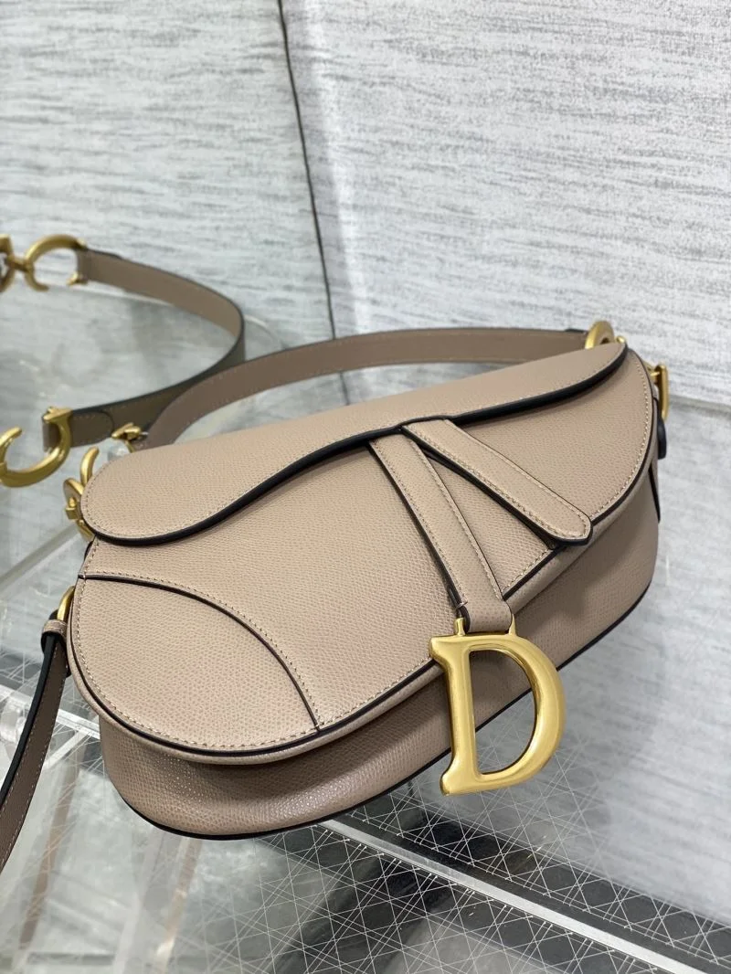 Christian Dior Saddle bags Resilient 47329
