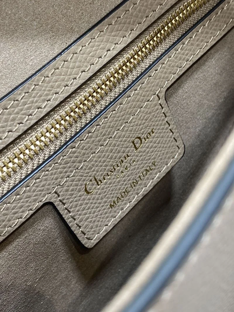 Christian Dior Saddle bags Resilient 47329