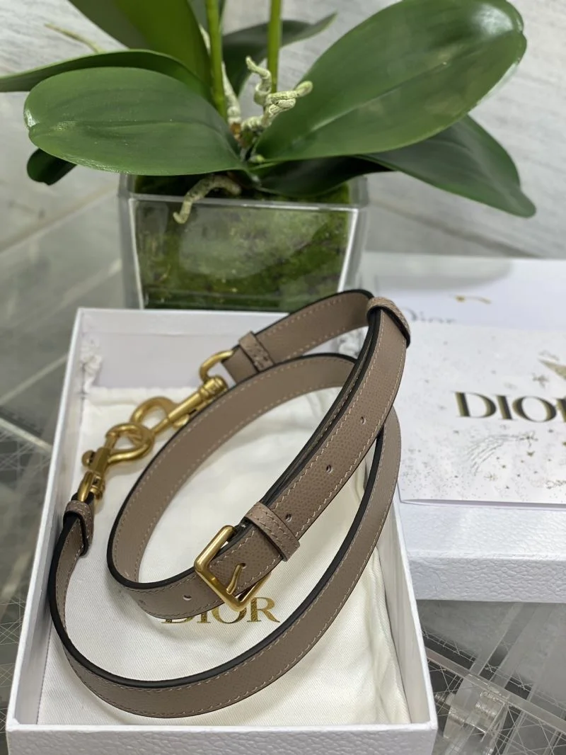 Christian Dior Saddle bags Resilient 47329