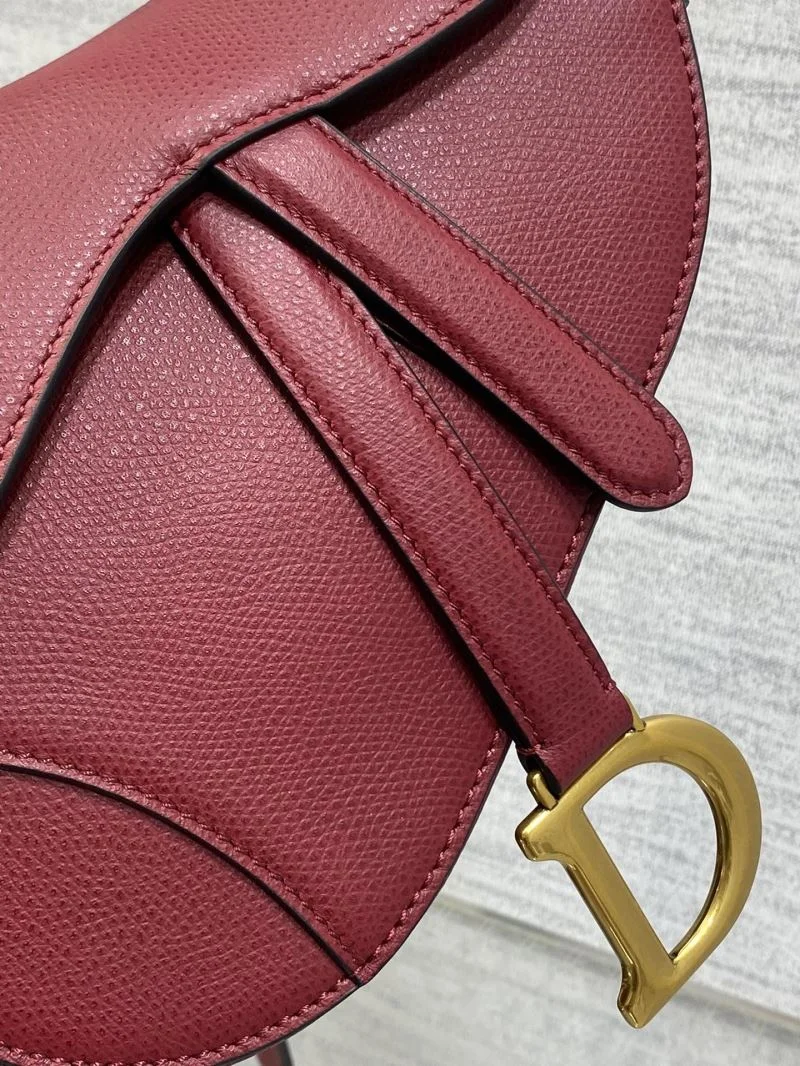 Christian Dior Saddle bags Efficient 47241