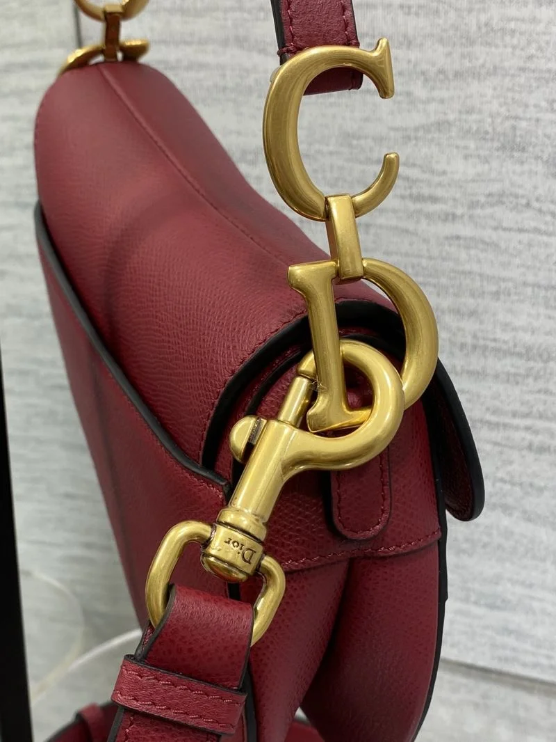 Christian Dior Saddle bags Efficient 47241