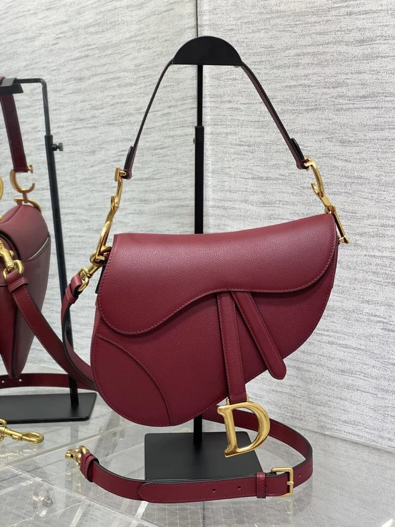 Christian Dior Saddle bags Bold 47237