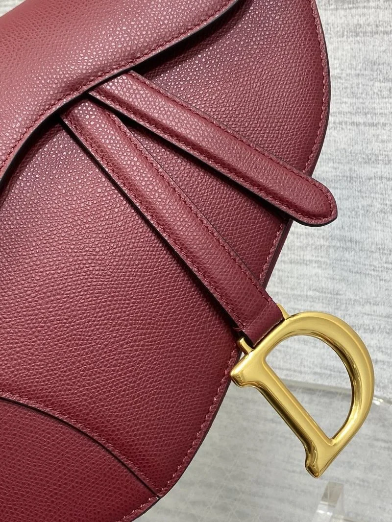 Christian Dior Saddle bags Bold 47237