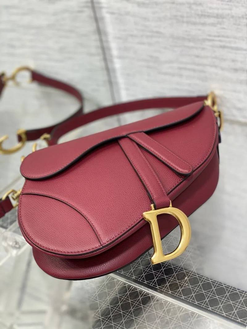 Christian Dior Saddle bags Bold 47237