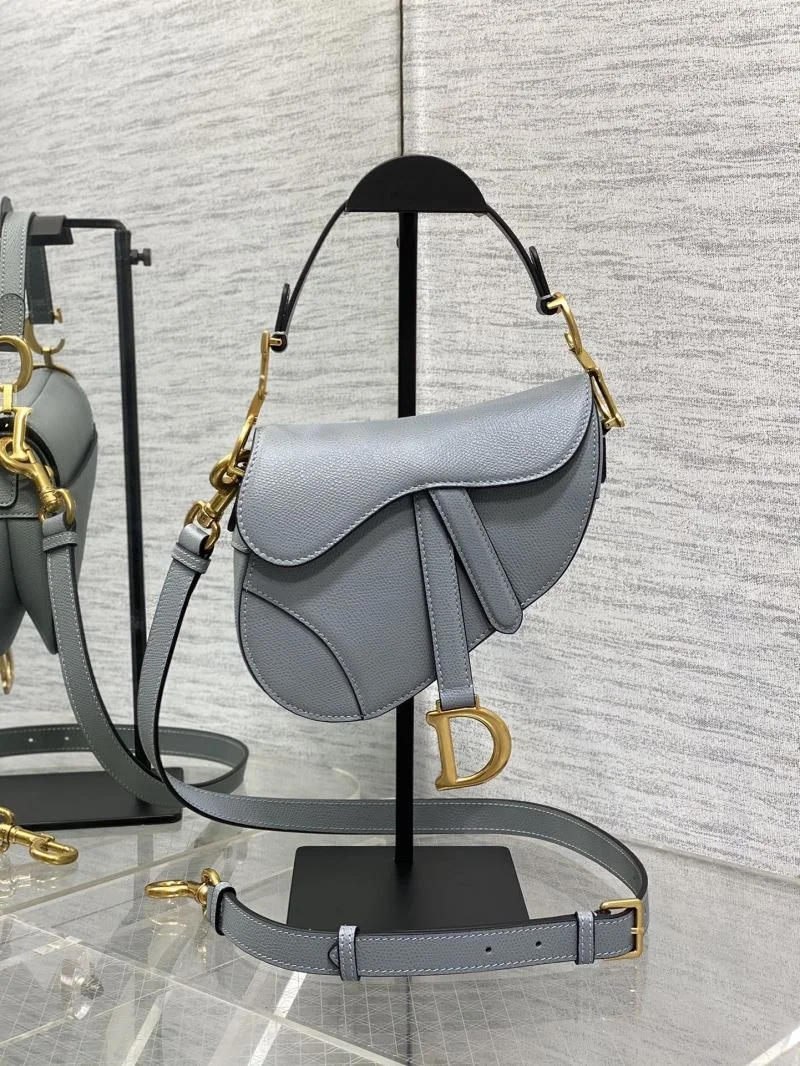 Christian Dior Saddle bags WellDesigned 47234