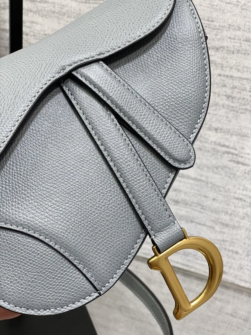 Christian Dior Saddle bags WellDesigned 47234