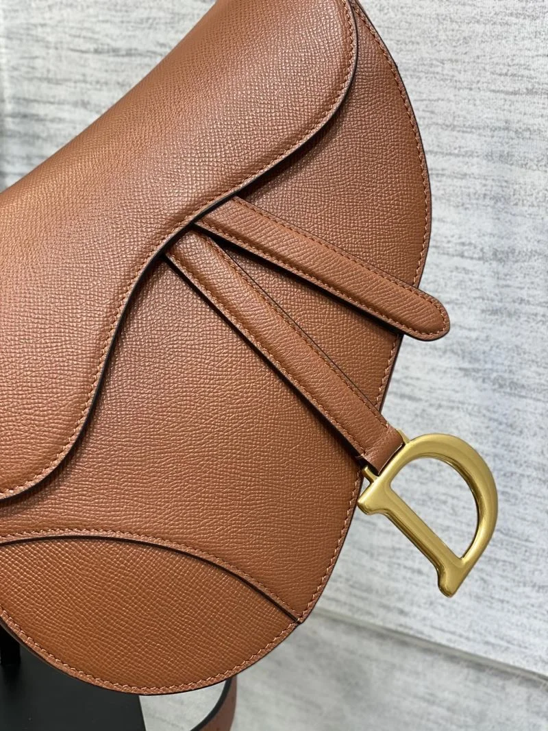 WaterResistant Christian Dior Saddle bags 47229