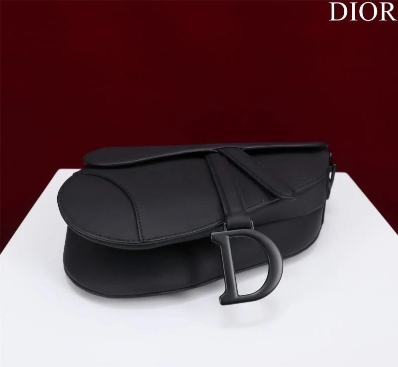 Christian Dior Saddle bags Lightweight 47253