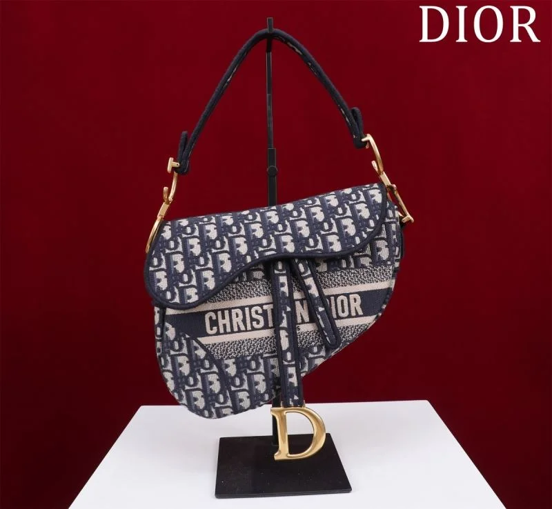 Christian Dior Saddle bags Resilient 47223