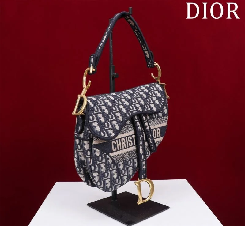 Christian Dior Saddle bags Resilient 47223