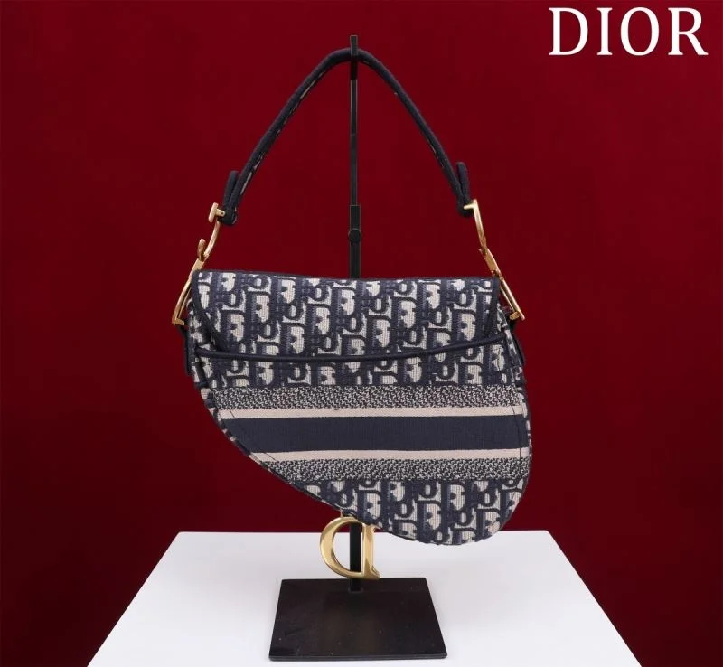 Christian Dior Saddle bags Resilient 47223