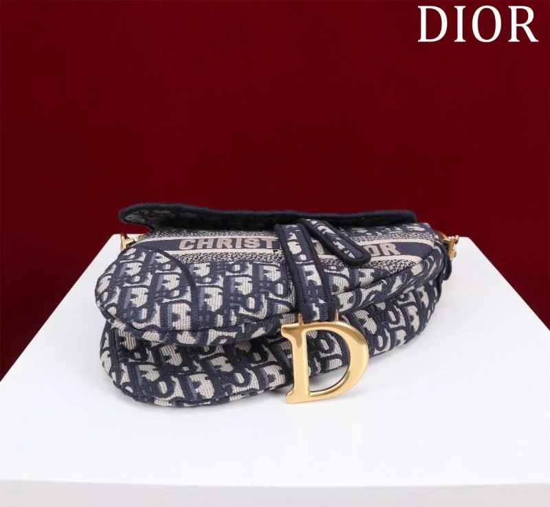 Christian Dior Saddle bags Resilient 47223