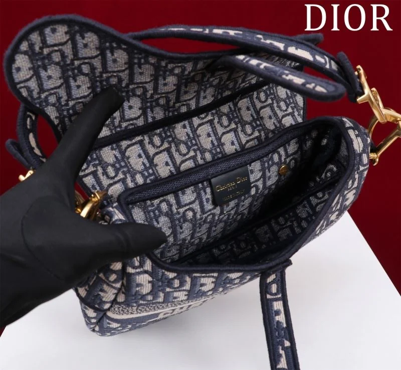 Christian Dior Saddle bags Resilient 47223