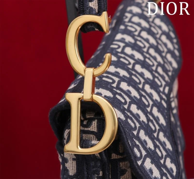 Christian Dior Saddle bags Resilient 47223