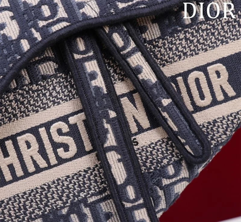Christian Dior Saddle bags Resilient 47223