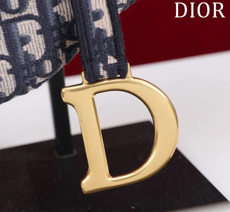 Christian Dior Saddle bags Resilient 47223