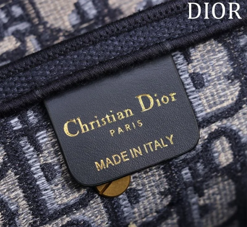 Christian Dior Saddle bags Resilient 47223