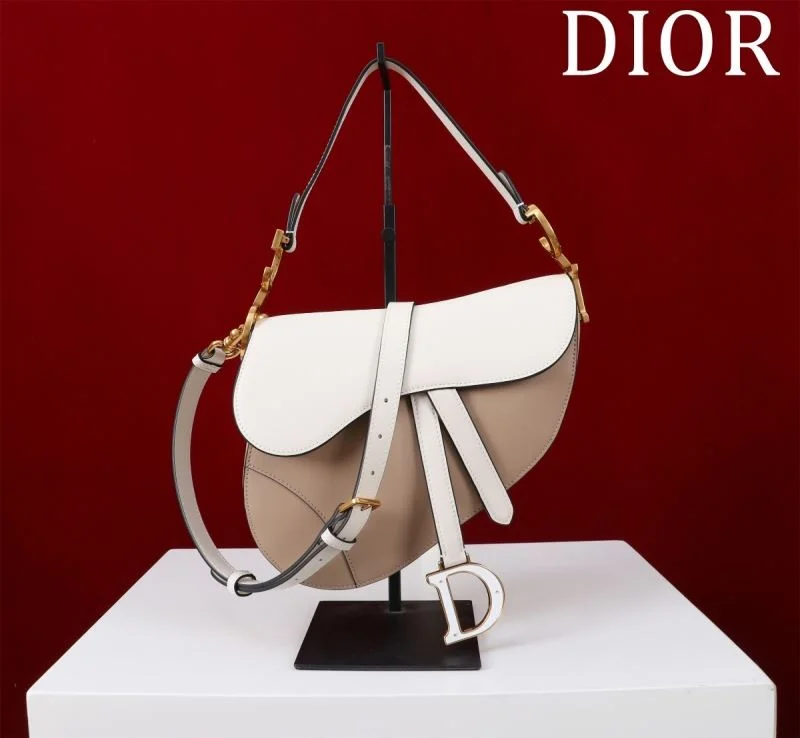 Christian Dior Saddle bags ZeroBulk 47217