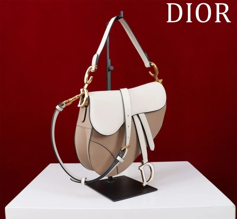 Christian Dior Saddle bags ZeroBulk 47217
