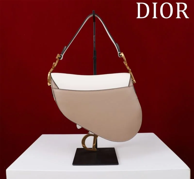 Christian Dior Saddle bags ZeroBulk 47217