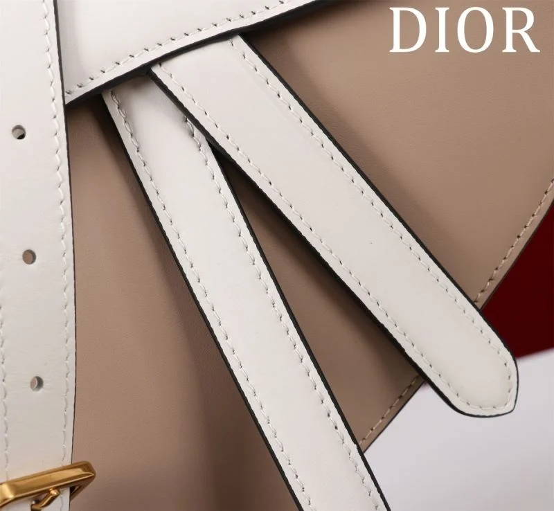 Christian Dior Saddle bags ZeroBulk 47217
