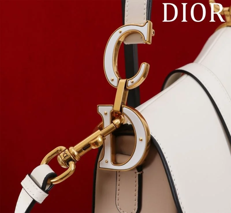 Christian Dior Saddle bags ZeroBulk 47217