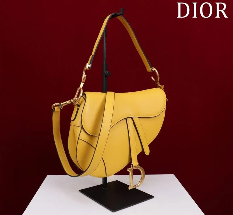 Christian Dior Saddle bags RelaxedFit 47281