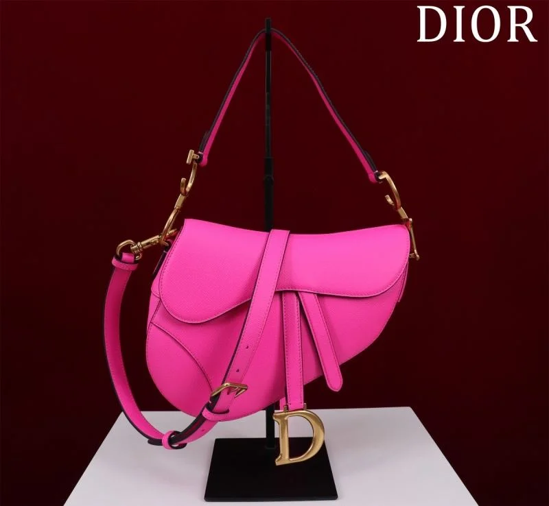 Christian Dior Saddle bags StreetReady 47221
