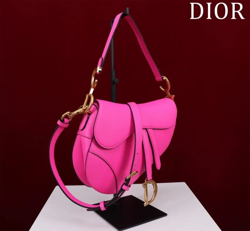 Christian Dior Saddle bags StreetReady 47221
