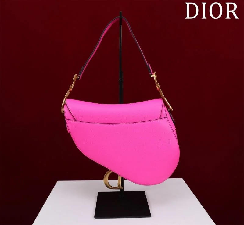 Christian Dior Saddle bags StreetReady 47221