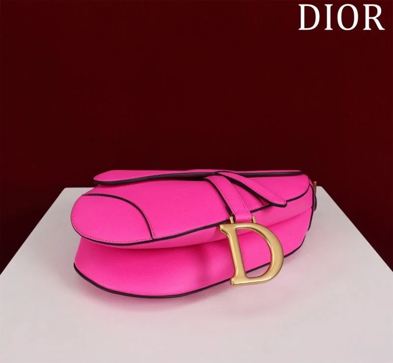 Christian Dior Saddle bags StreetReady 47221