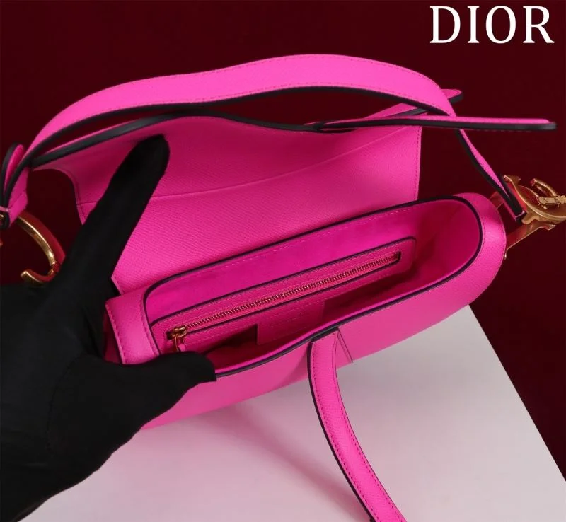 Christian Dior Saddle bags StreetReady 47221