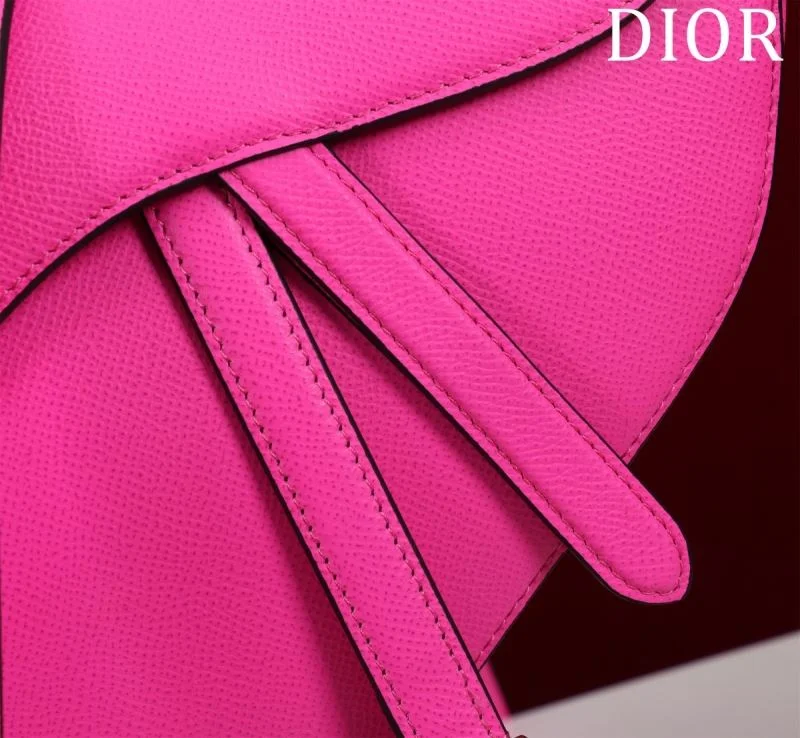 Christian Dior Saddle bags StreetReady 47221