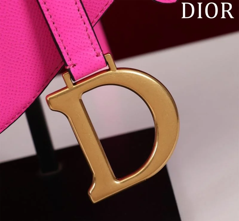 Christian Dior Saddle bags StreetReady 47221