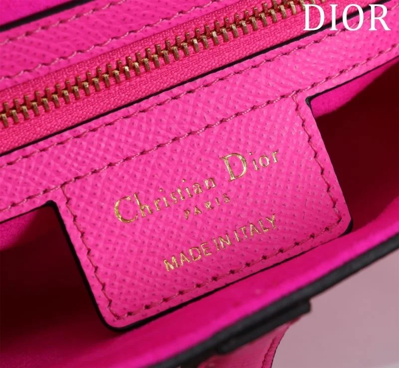 Christian Dior Saddle bags StreetReady 47221